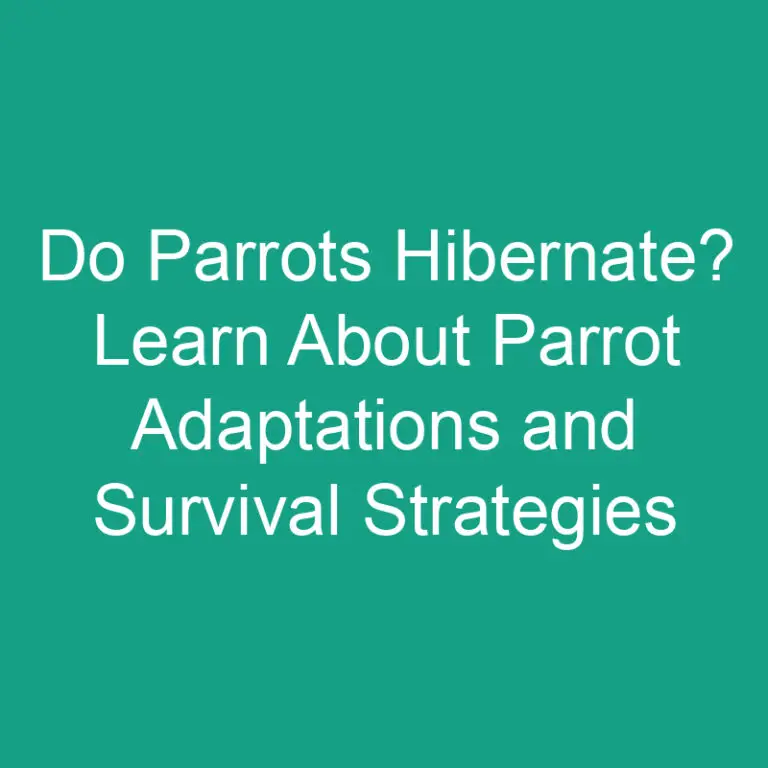 Do Parrots Hibernate? Learn About Parrot Adaptations and Survival Strategies
