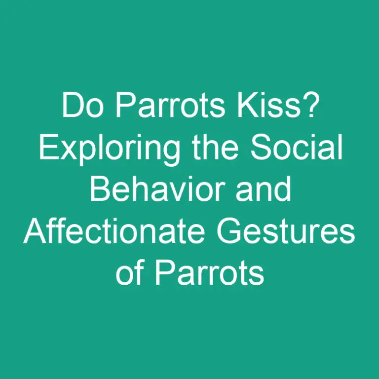 Do Parrots Kiss? Exploring the Social Behavior and Affectionate Gestures of Parrots