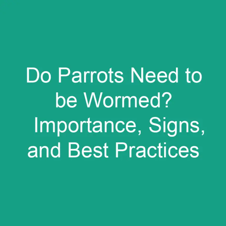 Do Parrots Need to be Wormed? Importance, Signs, and Best Practices