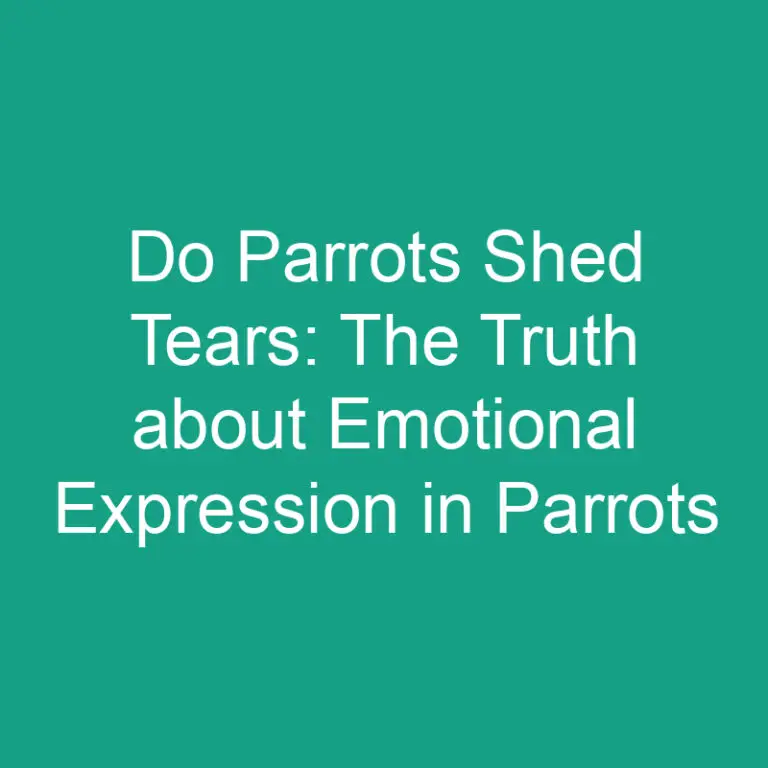 Do Parrots Shed Tears: The Truth about Emotional Expression in Parrots