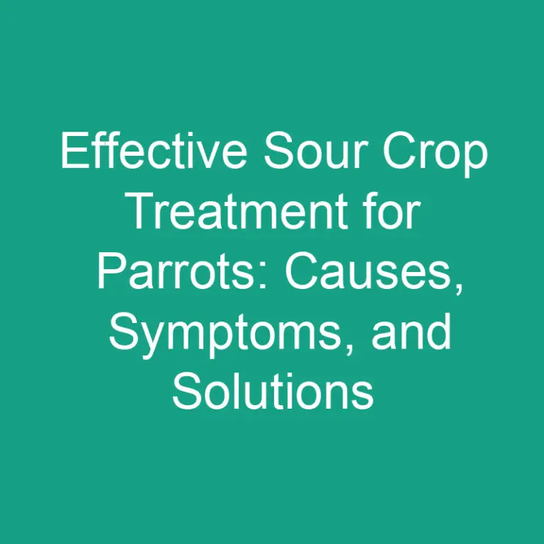Effective Sour Crop Treatment for Parrots: Causes, Symptoms, and Solutions