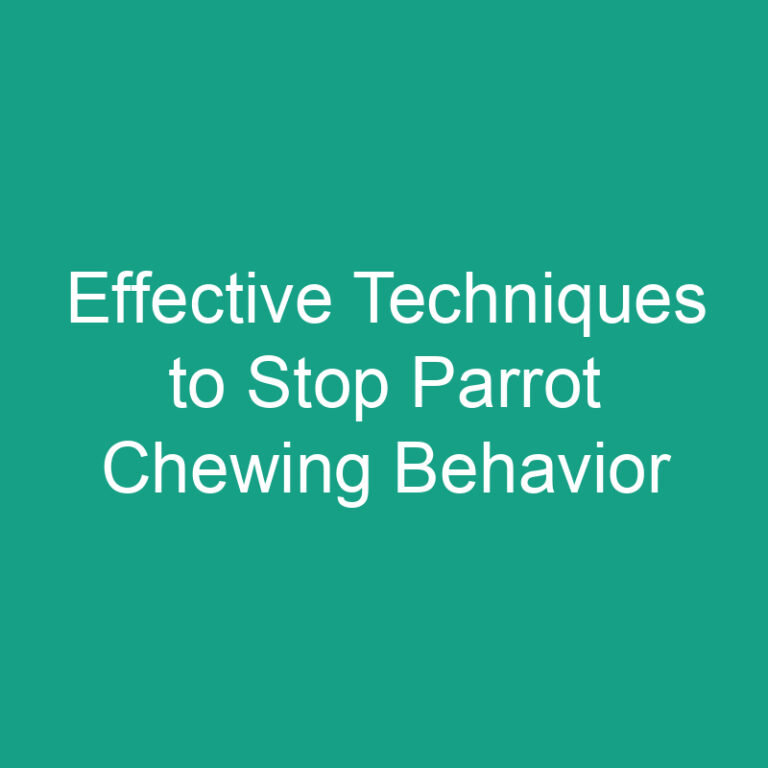 Effective Techniques to Stop Parrot Chewing Behavior