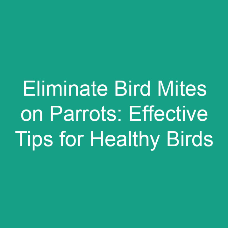 Eliminate Bird Mites on Parrots: Effective Tips for Healthy Birds
