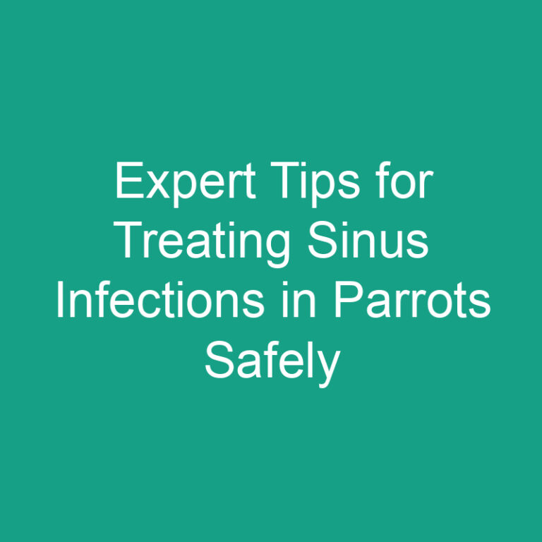 Expert Tips for Treating Sinus Infections in Parrots Safely