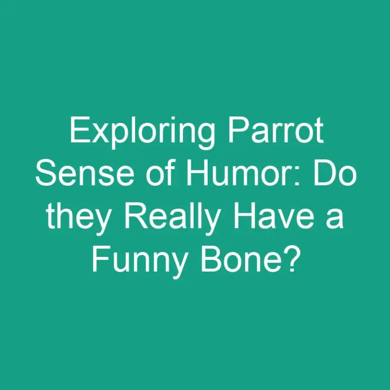 Exploring Parrot Sense of Humor: Do they Really Have a Funny Bone?