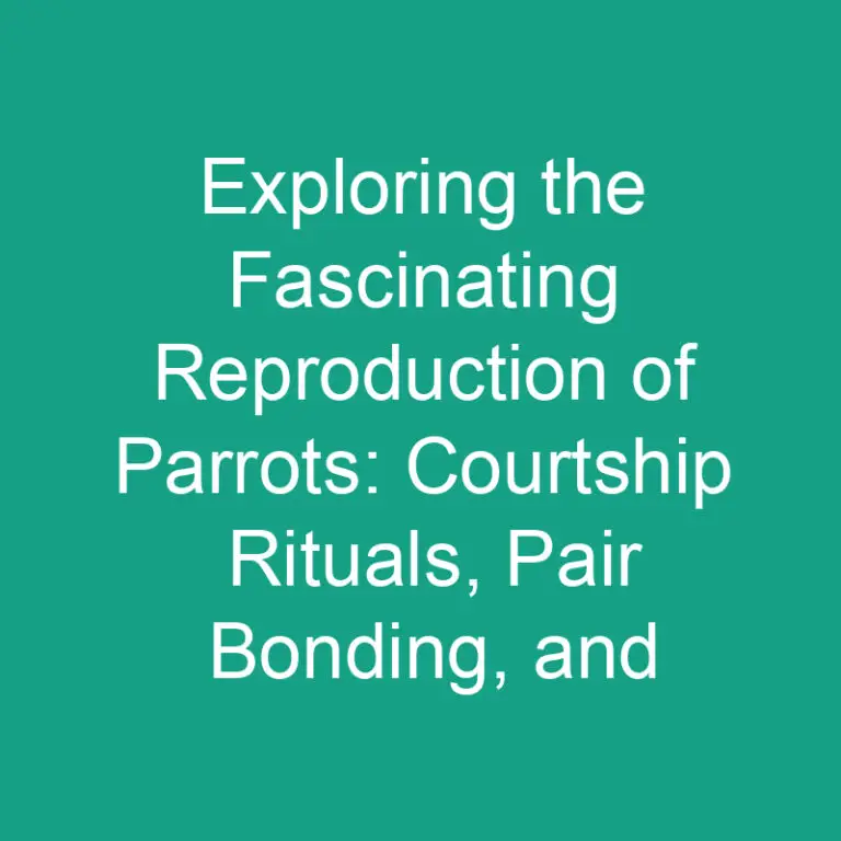 Exploring the Fascinating Reproduction of Parrots: Courtship Rituals, Pair Bonding, and Parenting