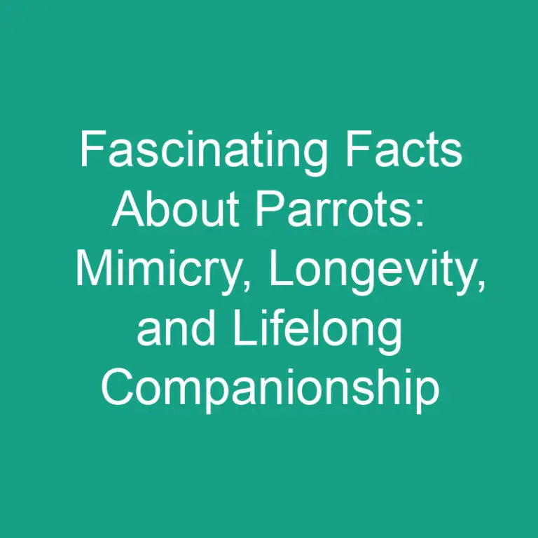 Fascinating Facts About Parrots: Mimicry, Longevity, and Lifelong Companionship