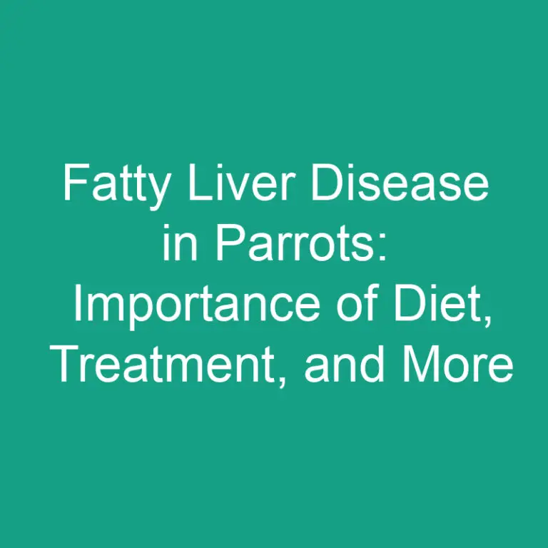 Fatty Liver Disease in Parrots: Importance of Diet, Treatment, and More