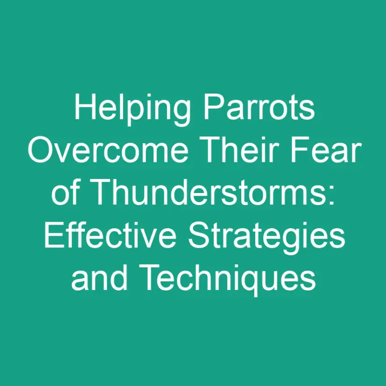 Helping Parrots Overcome Their Fear of Thunderstorms: Effective Strategies and Techniques