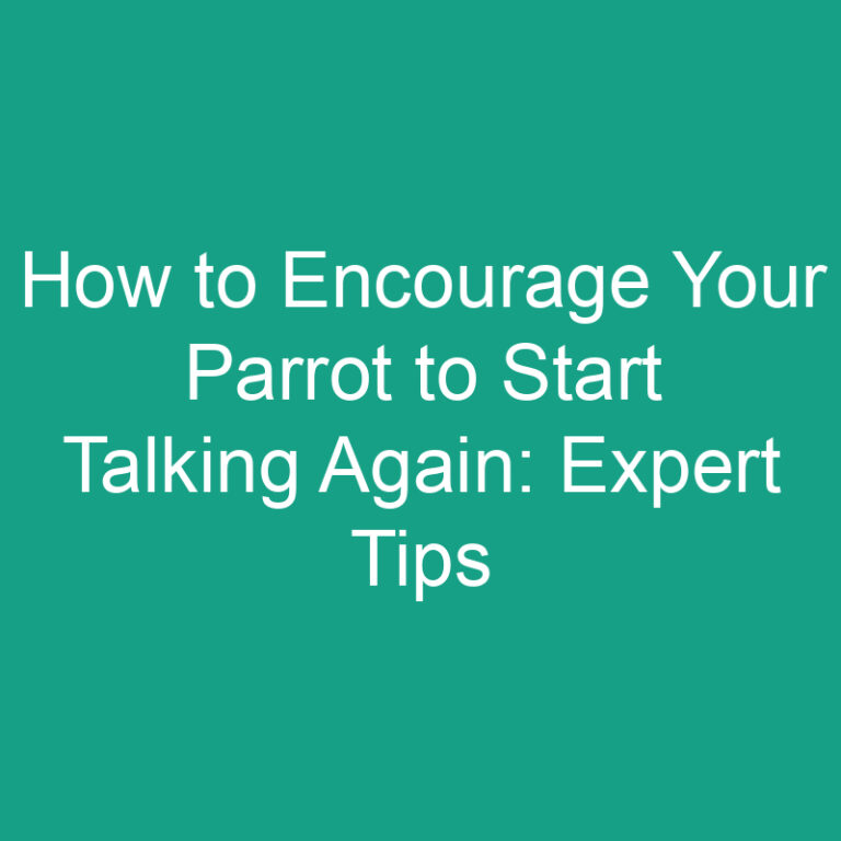How to Encourage Your Parrot to Start Talking Again: Expert Tips