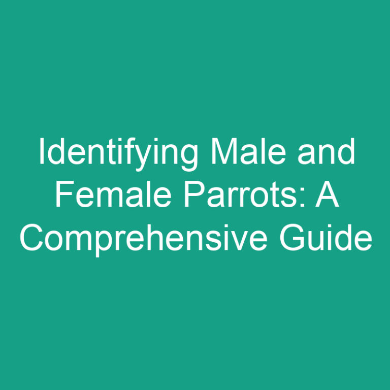 Identifying Male and Female Parrots: A Comprehensive Guide