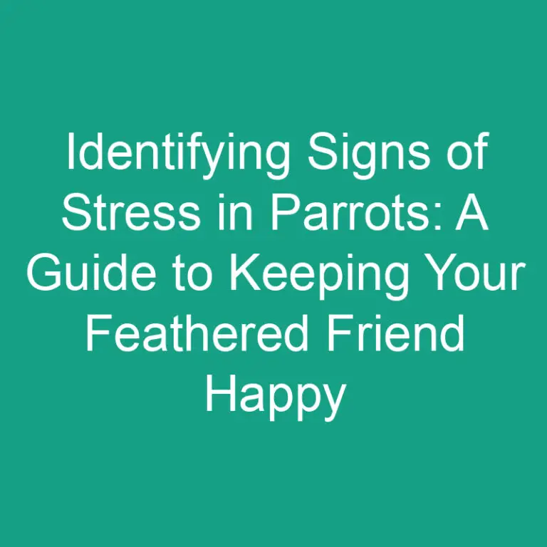 Identifying Signs of Stress in Parrots: Keeping Them Stress-Free