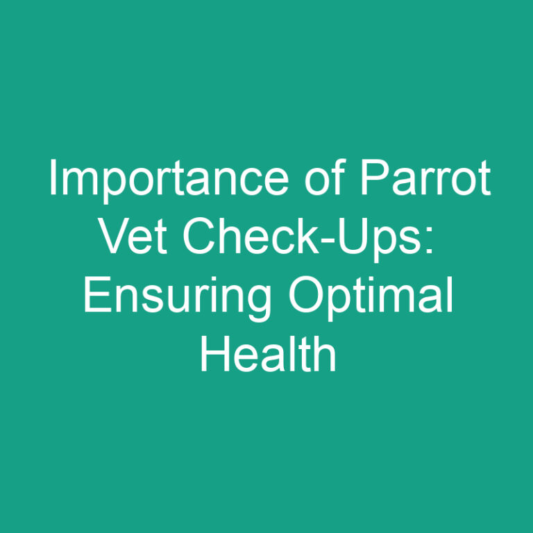 Importance of Parrot Vet Check-Ups: Ensuring Optimal Health