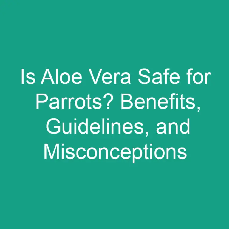 Is Aloe Vera Safe for Parrots? Benefits, Guidelines, and Misconceptions
