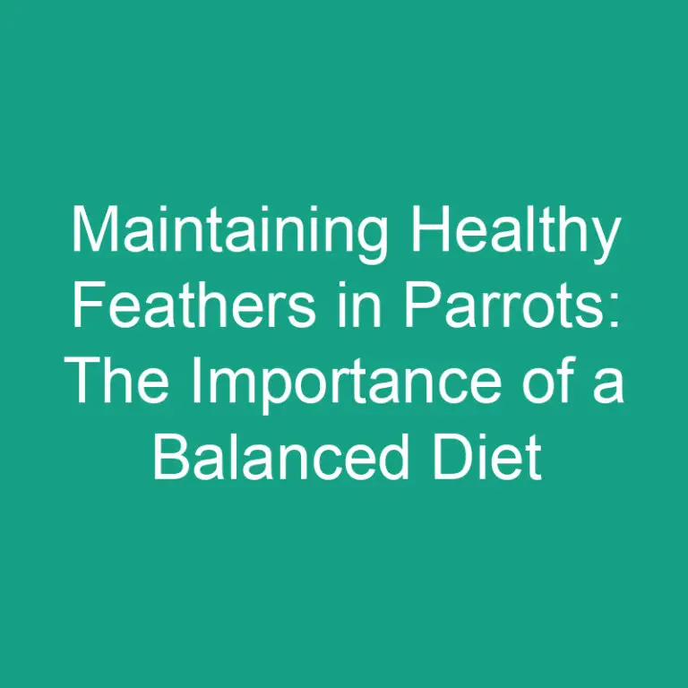 Maintaining Healthy Feathers in Parrots: The Importance of a Balanced Diet