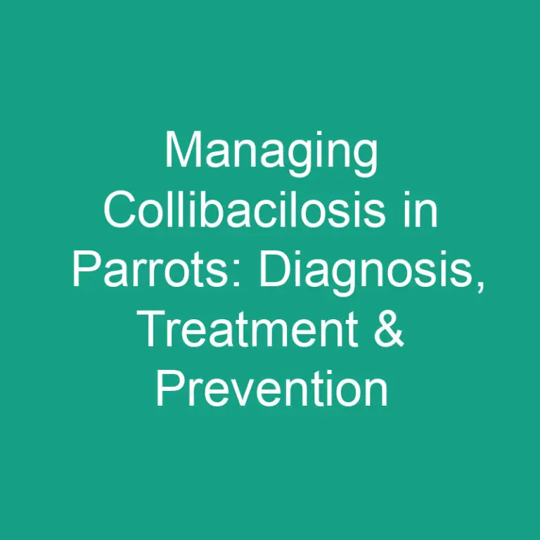 Managing Collibacilosis in Parrots: Diagnosis, Treatment & Prevention