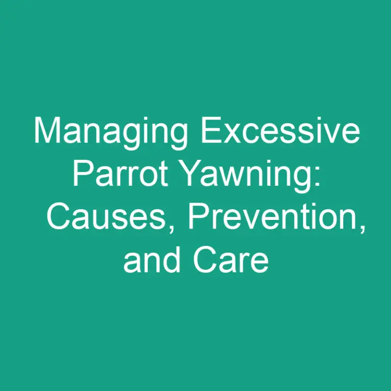 Managing Excessive Parrot Yawning: Causes, Prevention, and Care