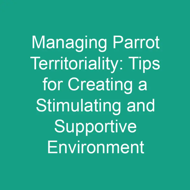Managing Parrot Territoriality: Tips for Creating a Stimulating and Supportive Environment
