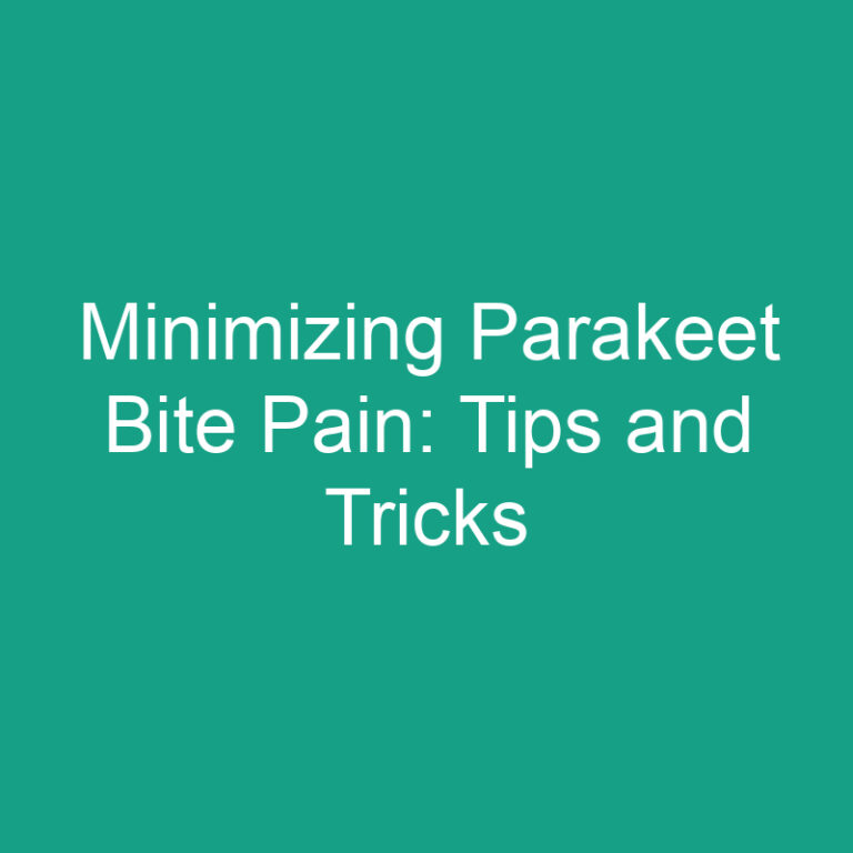 Minimizing Parakeet Bite Pain: Tips and Tricks