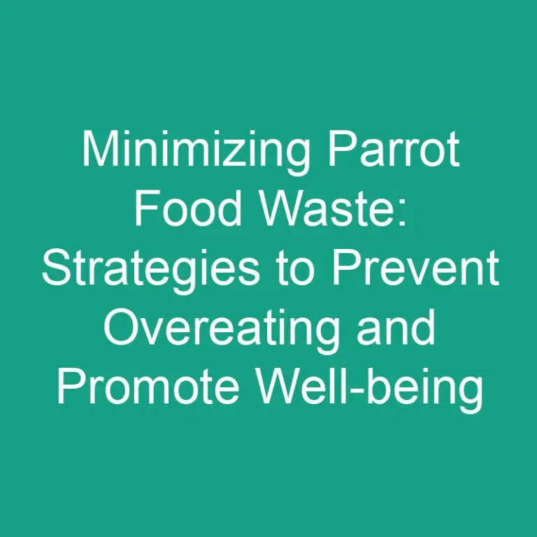 Minimizing Parrot Food Waste: Strategies to Prevent Overeating and Promote Well-being