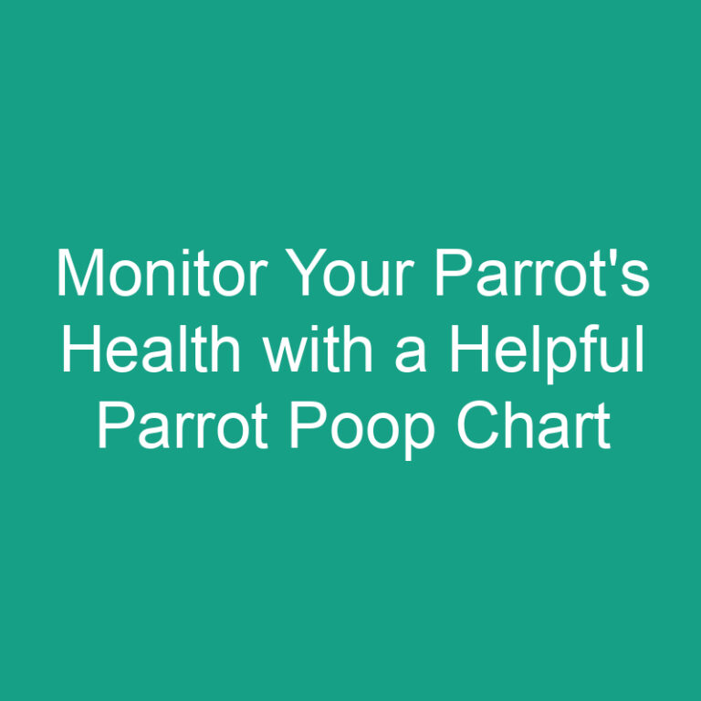 Monitor Your Parrot’s Health with a Helpful Parrot Poop Chart