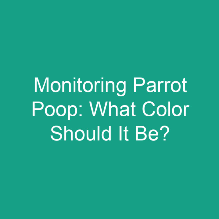 Monitoring Parrot Poop: What Color Should It Be?