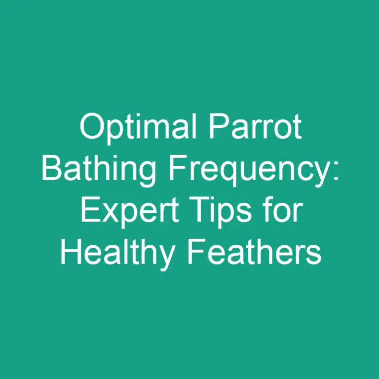 Optimal Parrot Bathing Frequency: Expert Tips for Healthy Feathers