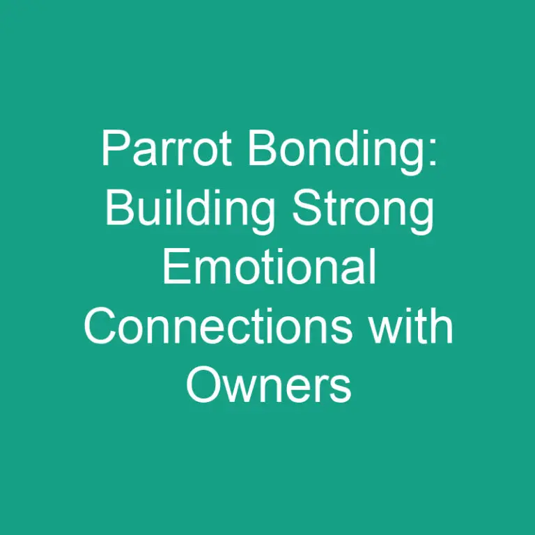 Parrot Bonding: Building Strong Emotional Connections with Owners