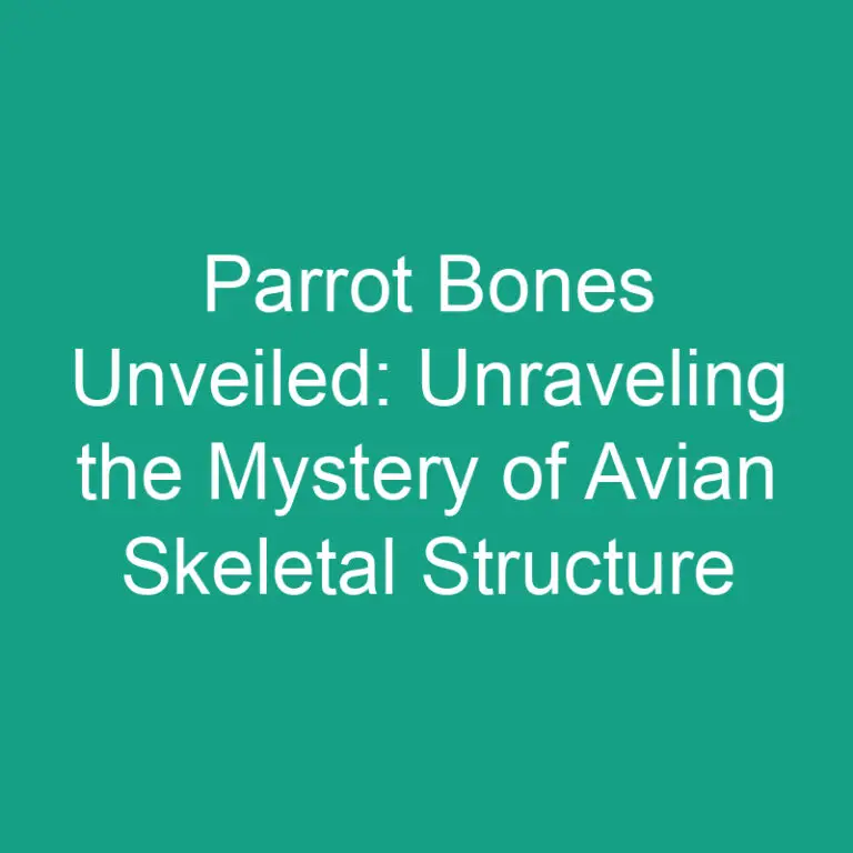 Parrot Bones Unveiled: Unraveling the Mystery of Avian Skeletal Structure
