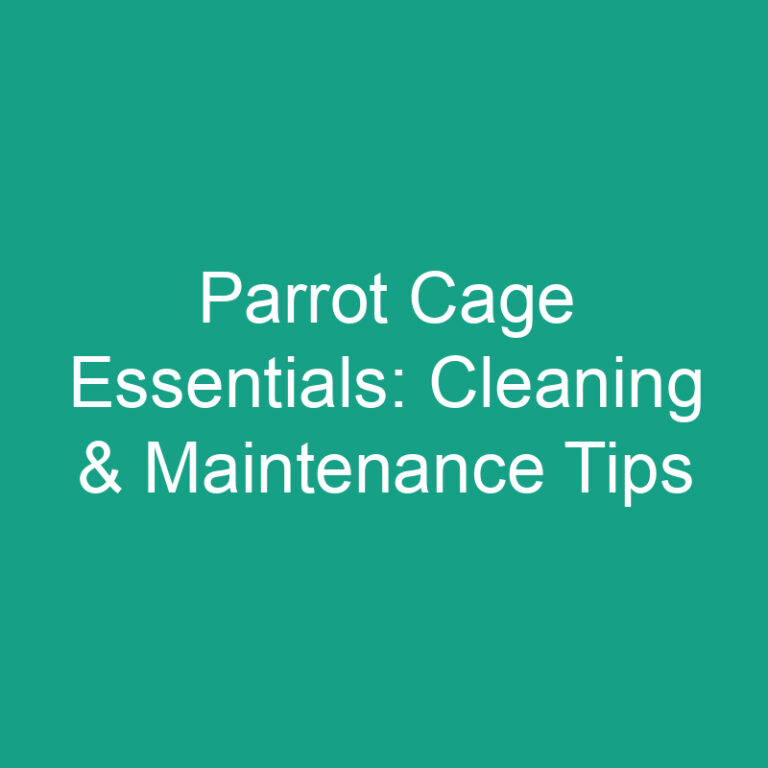 Parrot Cage Essentials: Cleaning & Maintenance Tips