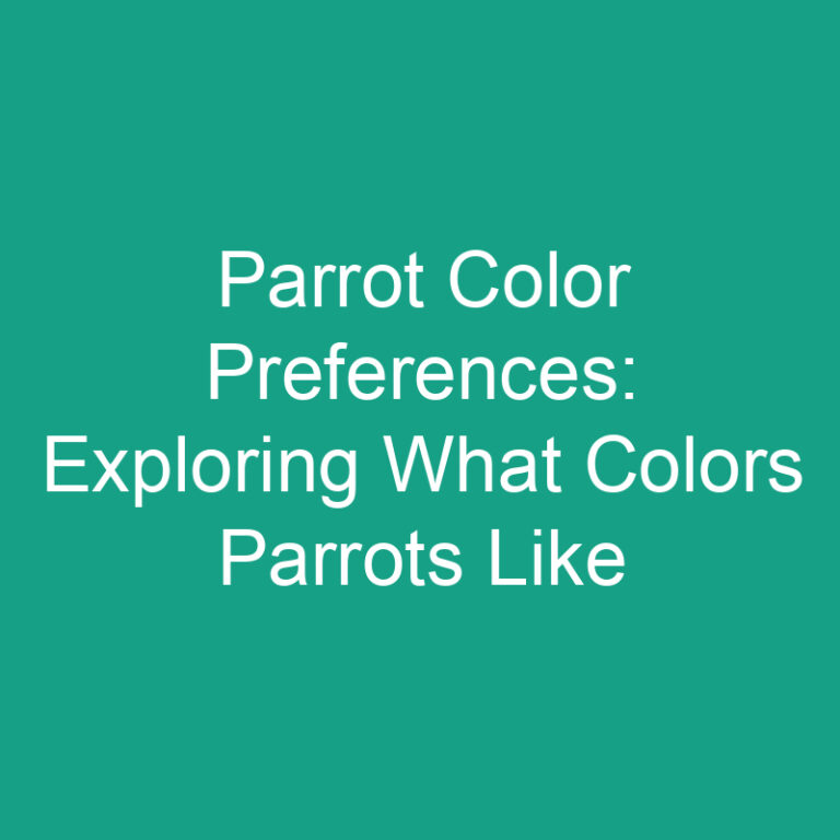 Parrot Color Preferences: Exploring What Colors Parrots Like