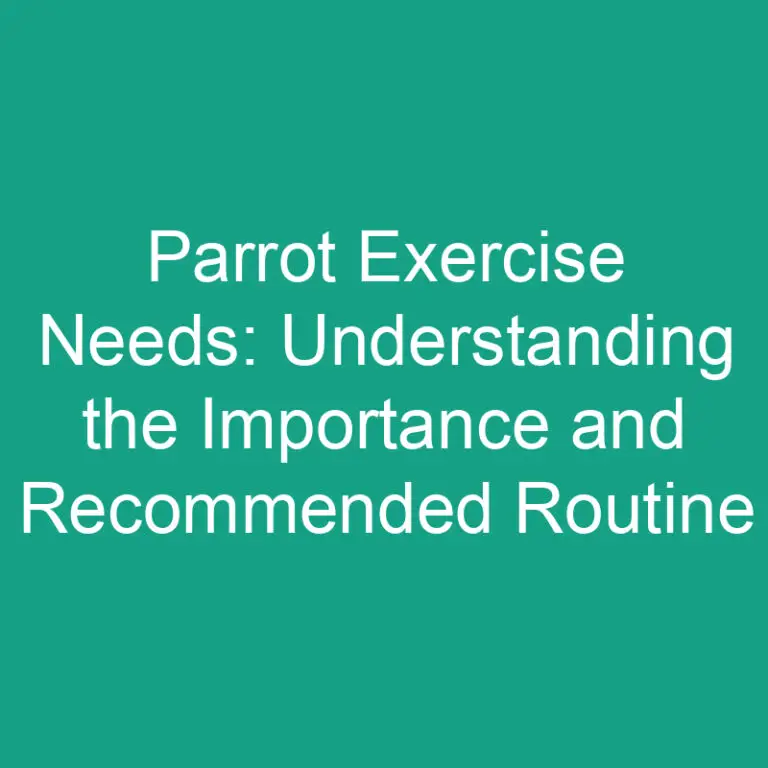 Parrot Exercise Needs: Understanding the Importance and Recommended Routine