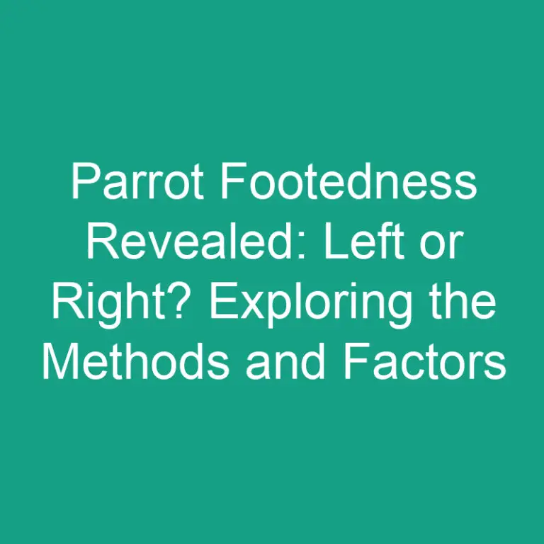 Parrot Footedness Revealed: Left or Right? Exploring the Methods and Factors