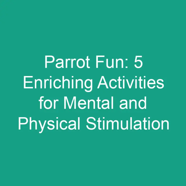 Parrot Fun: 5 Enriching Activities for Mental and Physical Stimulation