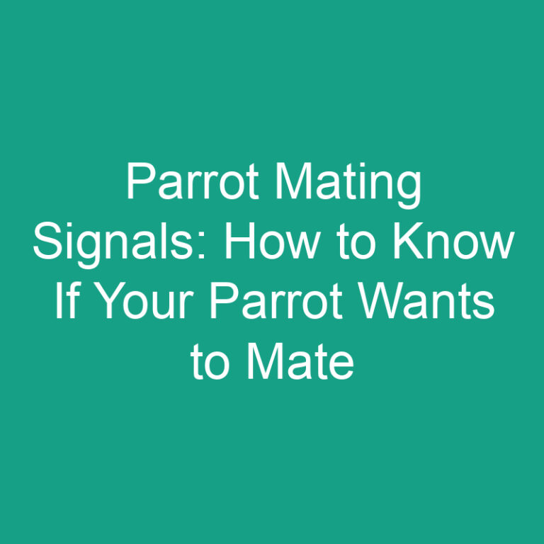 Parrot Mating Signals: How to Know If Your Parrot Wants to Mate