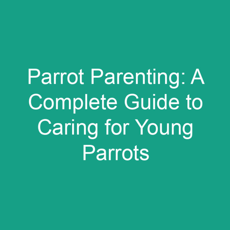 Parrot Parenting: A Complete Guide to Caring for Young Parrots