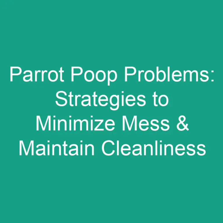 Parrot Poop Problems: Strategies to Minimize Mess & Maintain Cleanliness