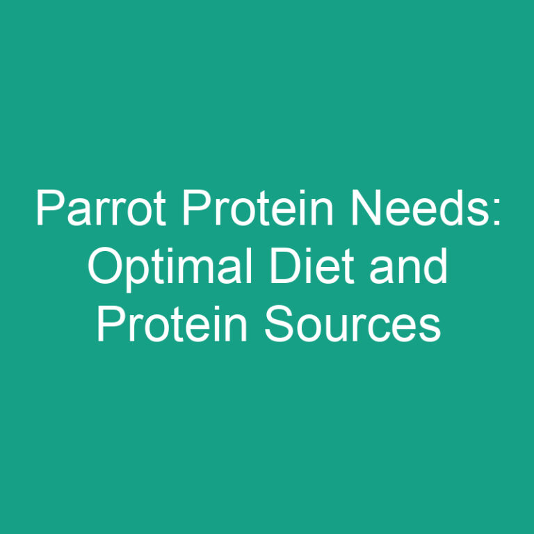 Parrot Protein Needs: Optimal Diet and Protein Sources