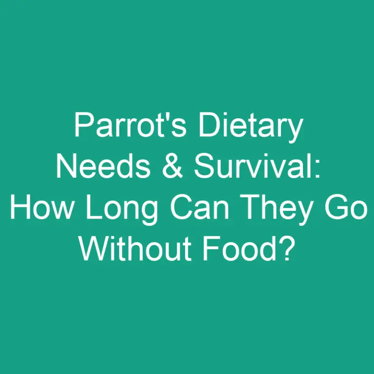 Parrot’s Dietary Needs & Survival: How Long Can They Go Without Food?