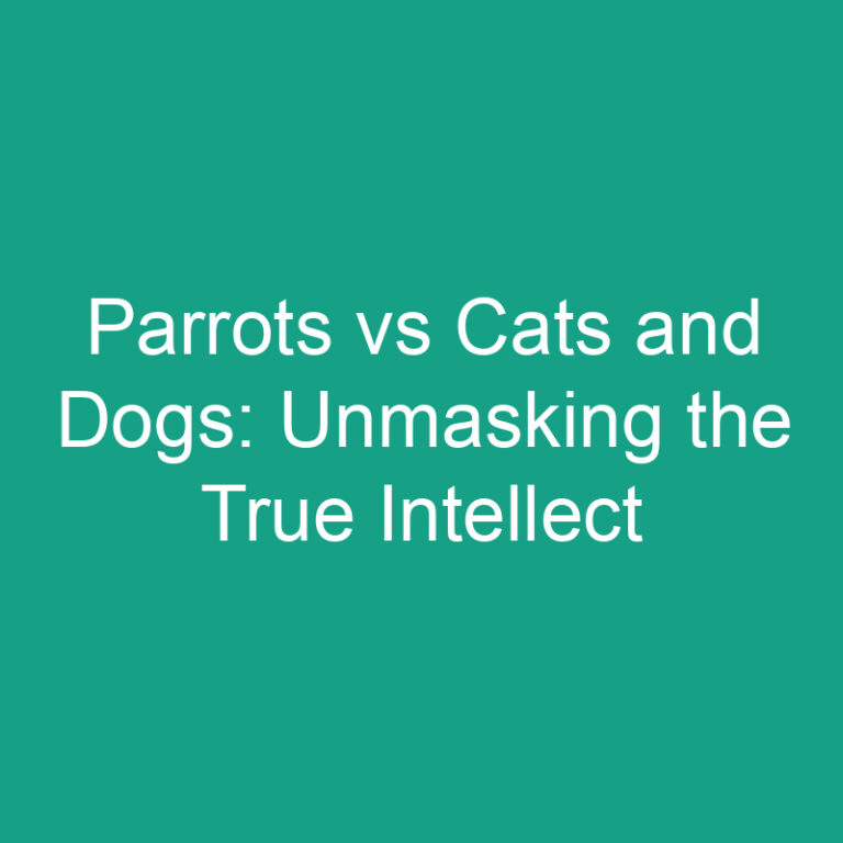 Parrots vs Cats and Dogs: Unmasking the True Intellect
