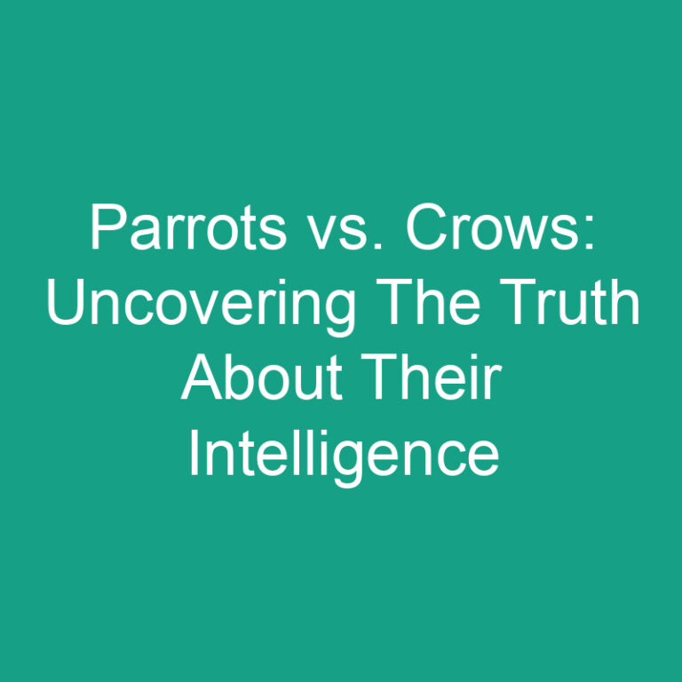 Parrots vs. Crows: Uncovering The Truth About Their Intelligence