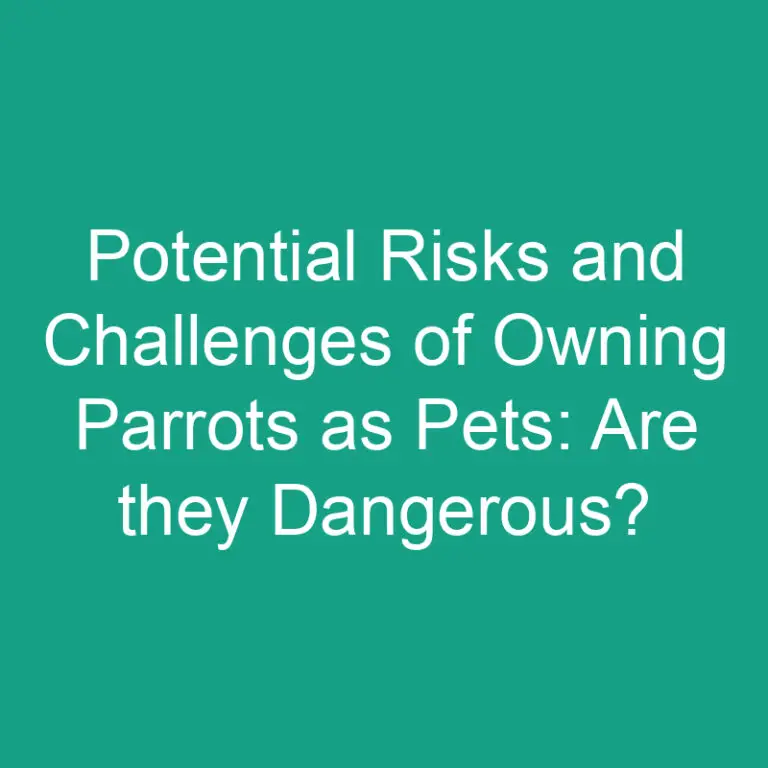 Potential Risks and Challenges of Owning Parrots as Pets: Are they Dangerous?