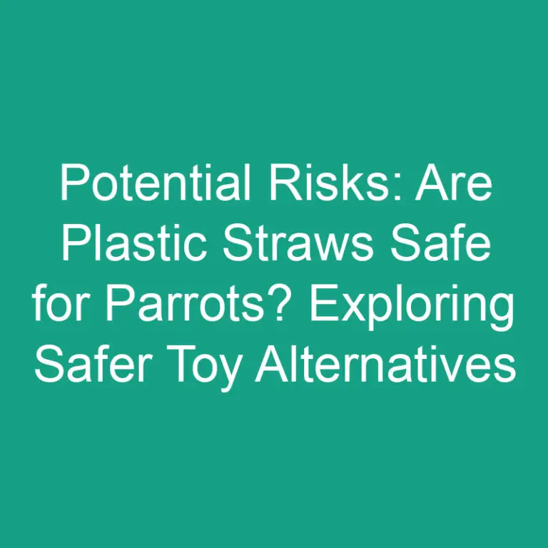 Potential Risks: Are Plastic Straws Safe for Parrots? Exploring Safer Toy Alternatives