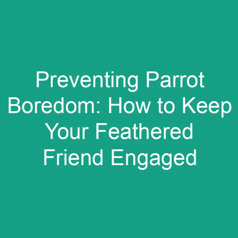 Preventing Parrot Boredom: How to Keep Your Feathered Friend Engaged