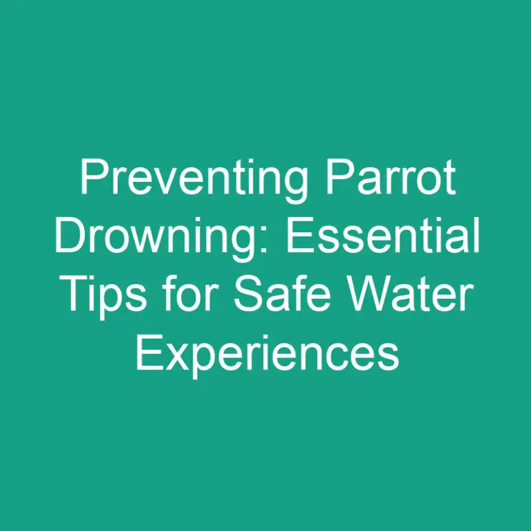 Preventing Parrot Drowning: Essential Tips for Safe Water Experiences