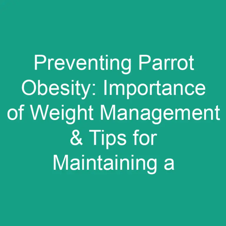 Preventing Parrot Obesity: Importance of Weight Management & Tips for Maintaining a Healthy Weight