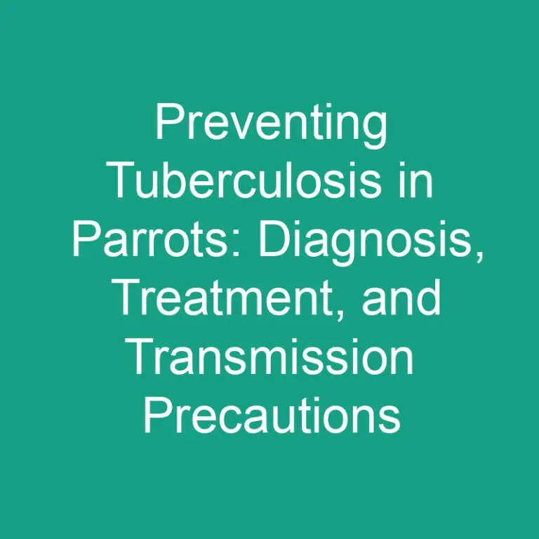 Preventing Tuberculosis in Parrots: Diagnosis, Treatment, and Transmission Precautions