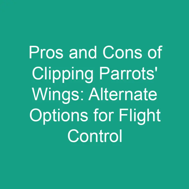 Pros and Cons of Clipping Parrots’ Wings: Alternate Options