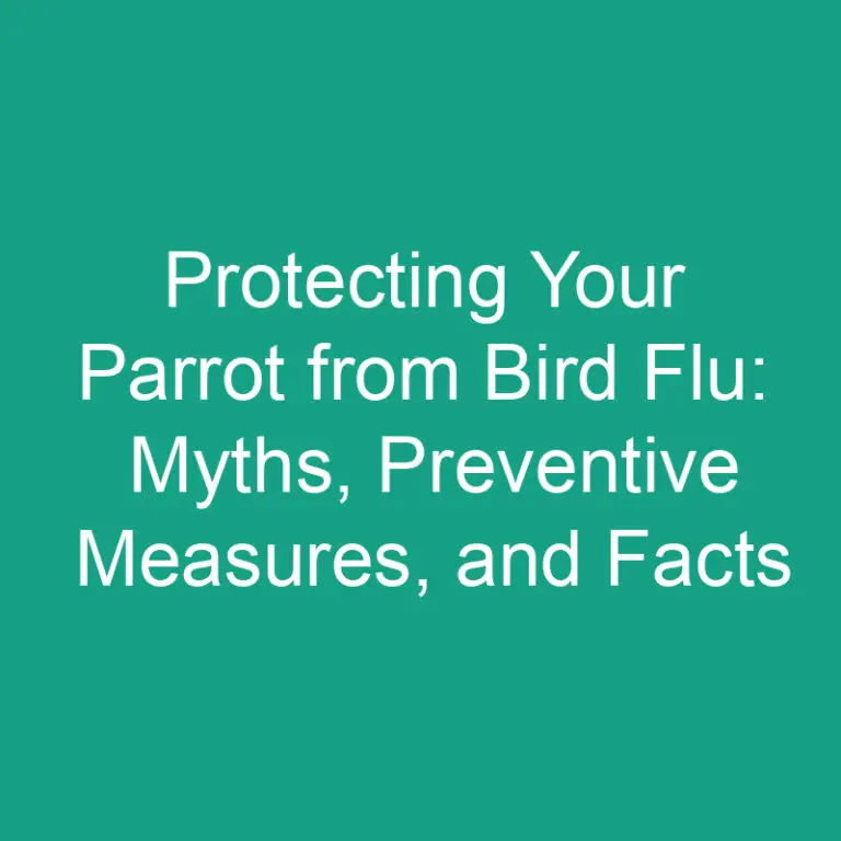 Protecting Your Parrot from Bird Flu: Myths and Preventive Measures