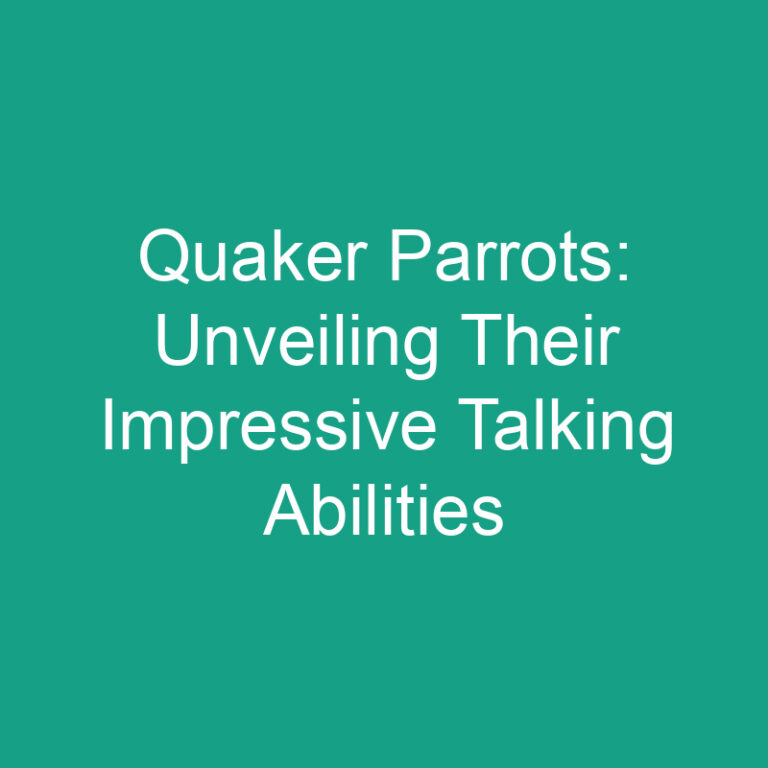 Quaker Parrots: Unveiling Their Impressive Talking Abilities